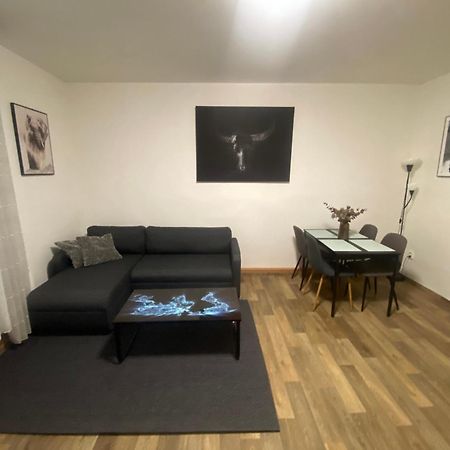 Cerny Tulipan - Apartman 2 Plzen Exterior photo