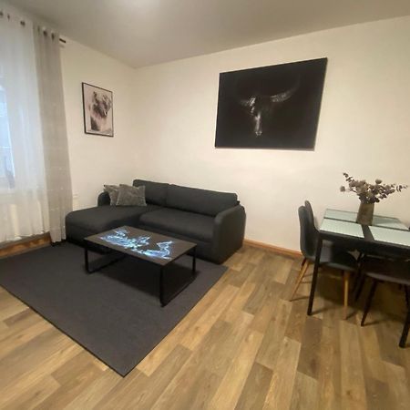 Cerny Tulipan - Apartman 2 Plzen Exterior photo