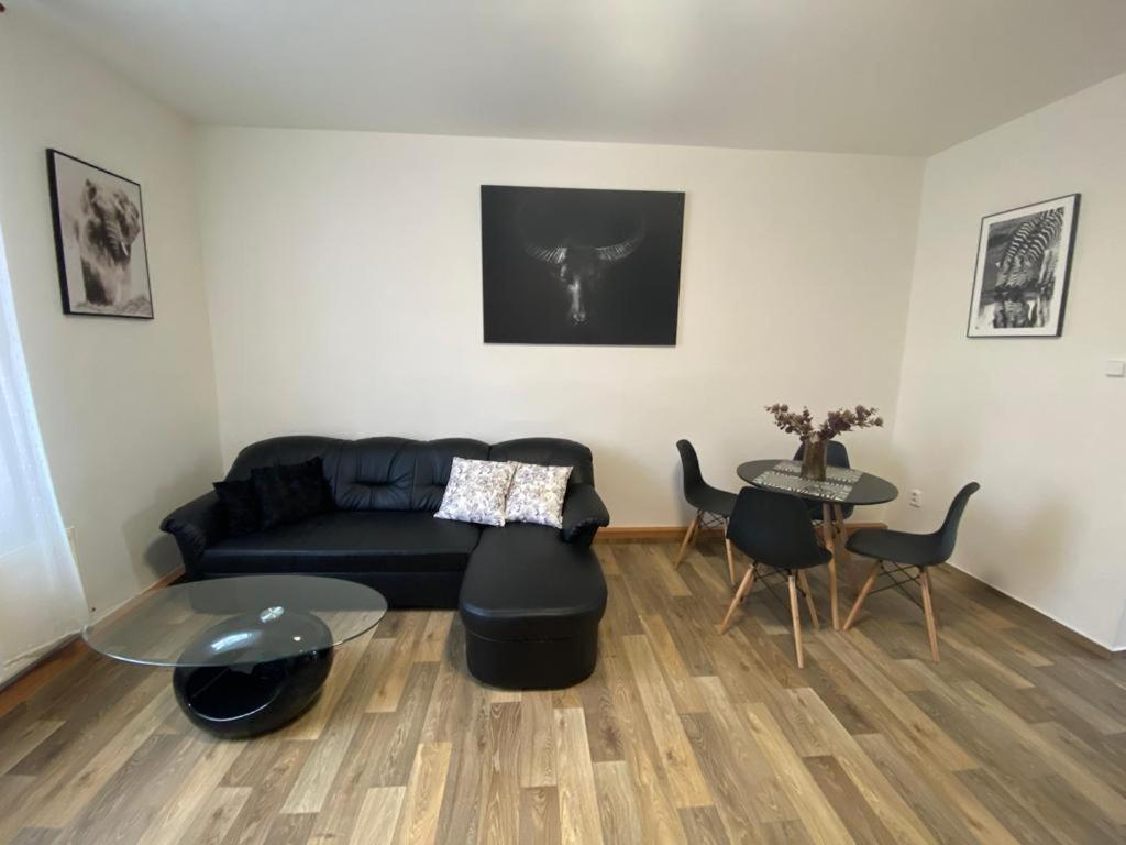 Cerny Tulipan - Apartman 2 Plzen Exterior photo