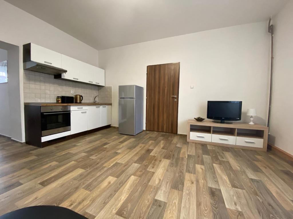Cerny Tulipan - Apartman 2 Plzen Exterior photo