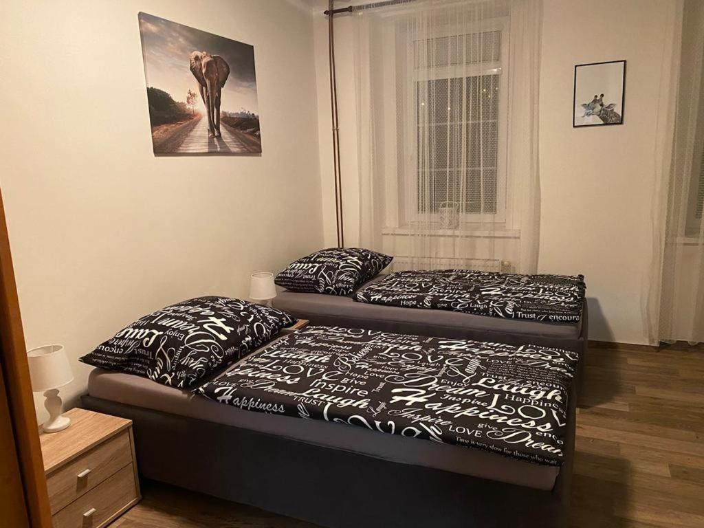 Cerny Tulipan - Apartman 2 Plzen Exterior photo