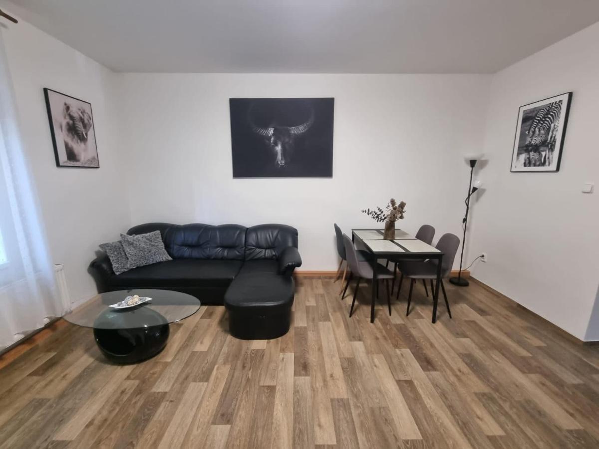 Cerny Tulipan - Apartman 2 Plzen Exterior photo