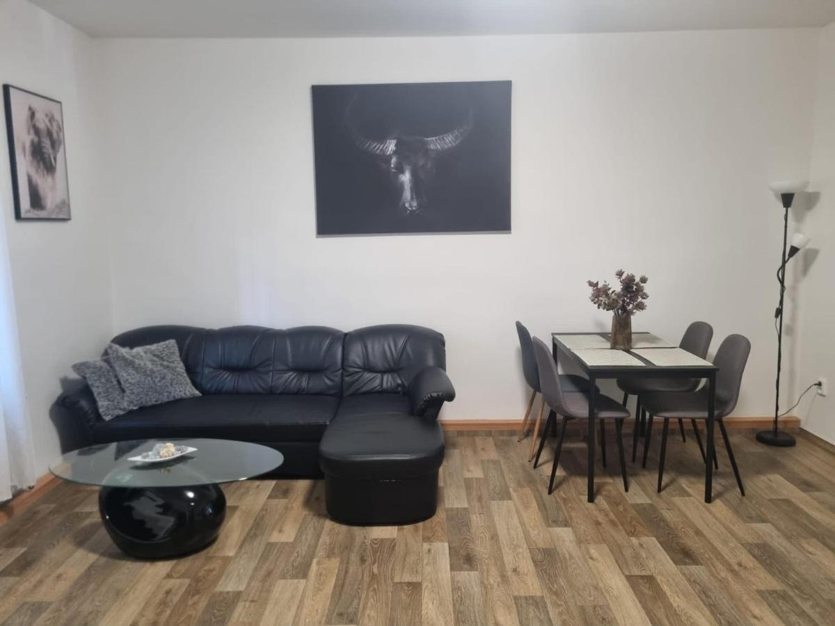 Cerny Tulipan - Apartman 2 Plzen Exterior photo