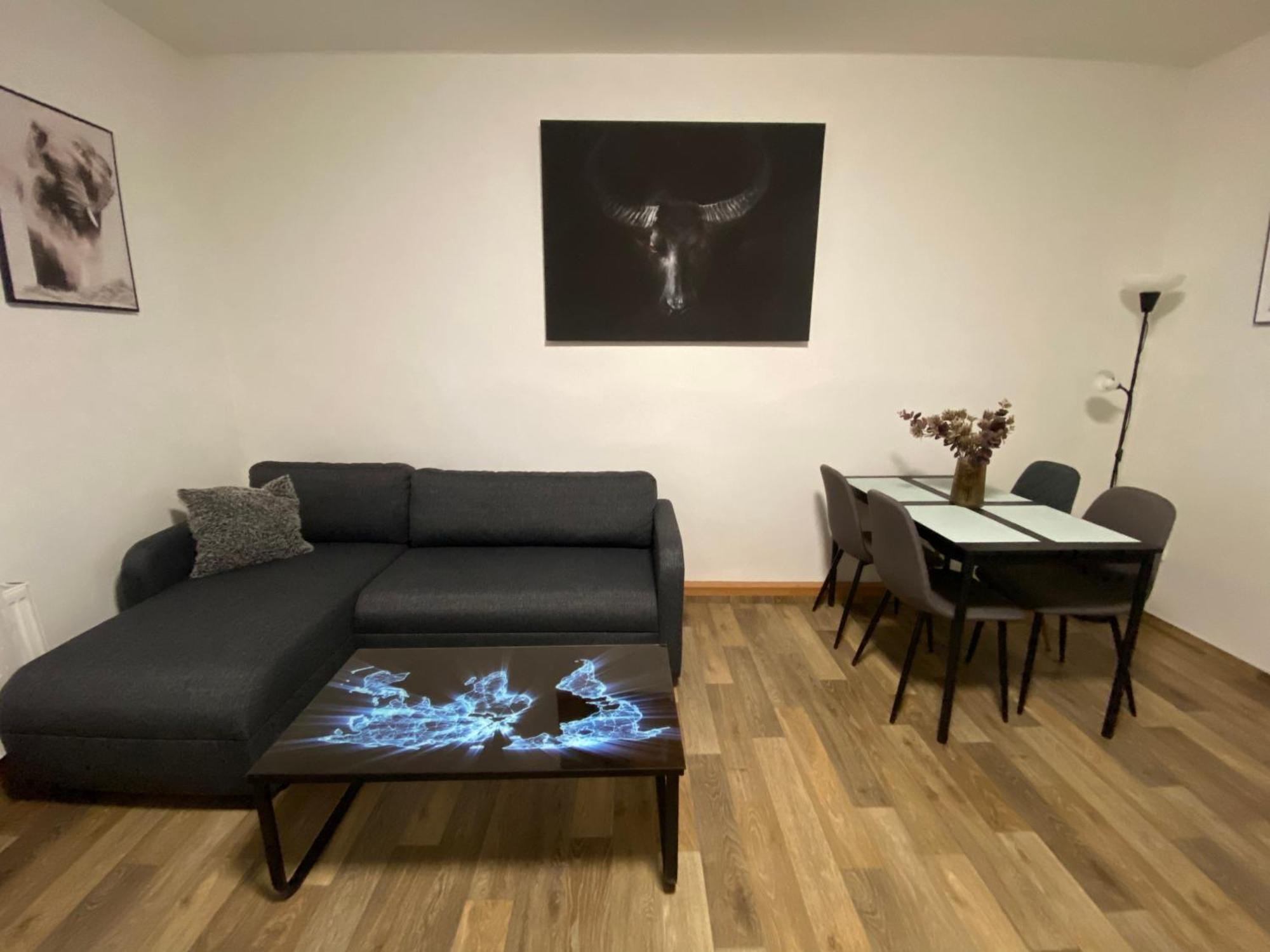 Cerny Tulipan - Apartman 2 Plzen Exterior photo
