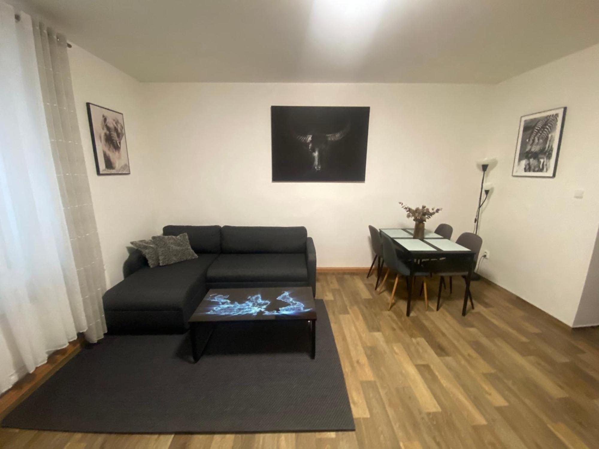 Cerny Tulipan - Apartman 2 Plzen Exterior photo