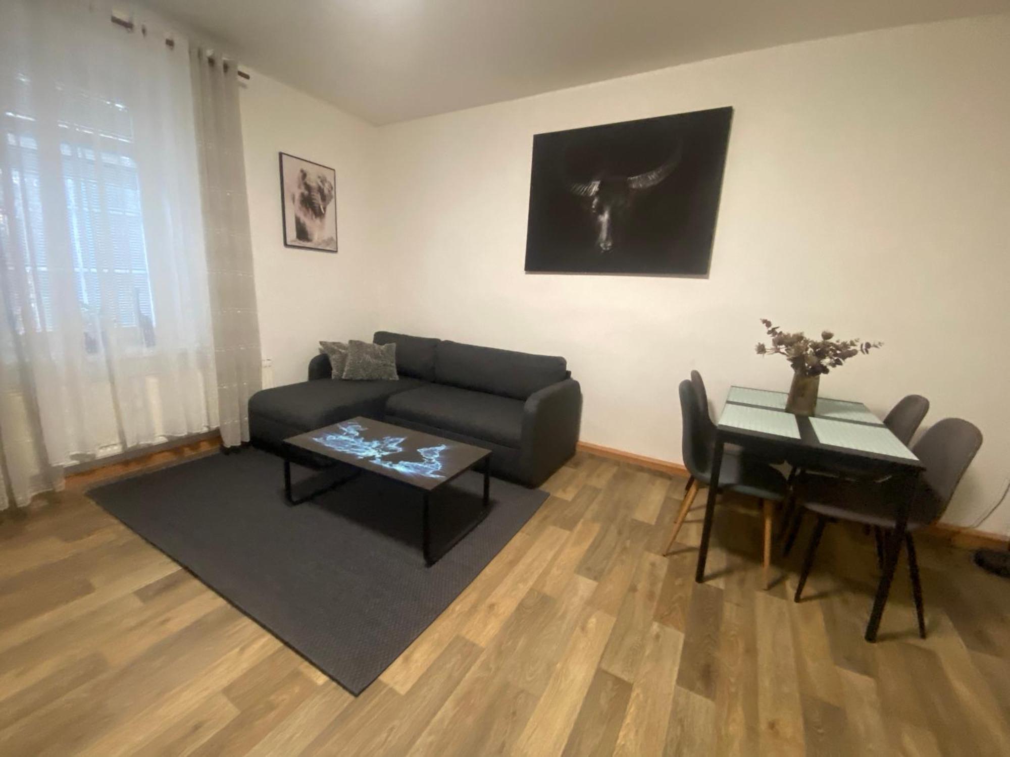 Cerny Tulipan - Apartman 2 Plzen Exterior photo