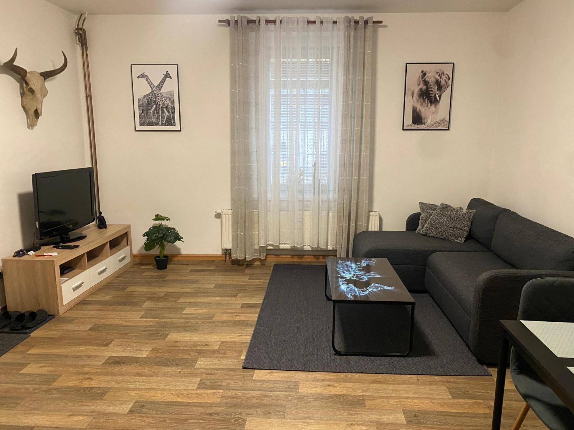 Cerny Tulipan - Apartman 2 Plzen Exterior photo